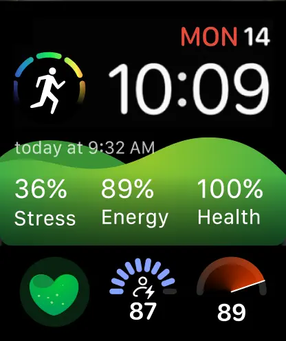 Welltory Apple Watch complications showing stress, energy and health estimates with their update time