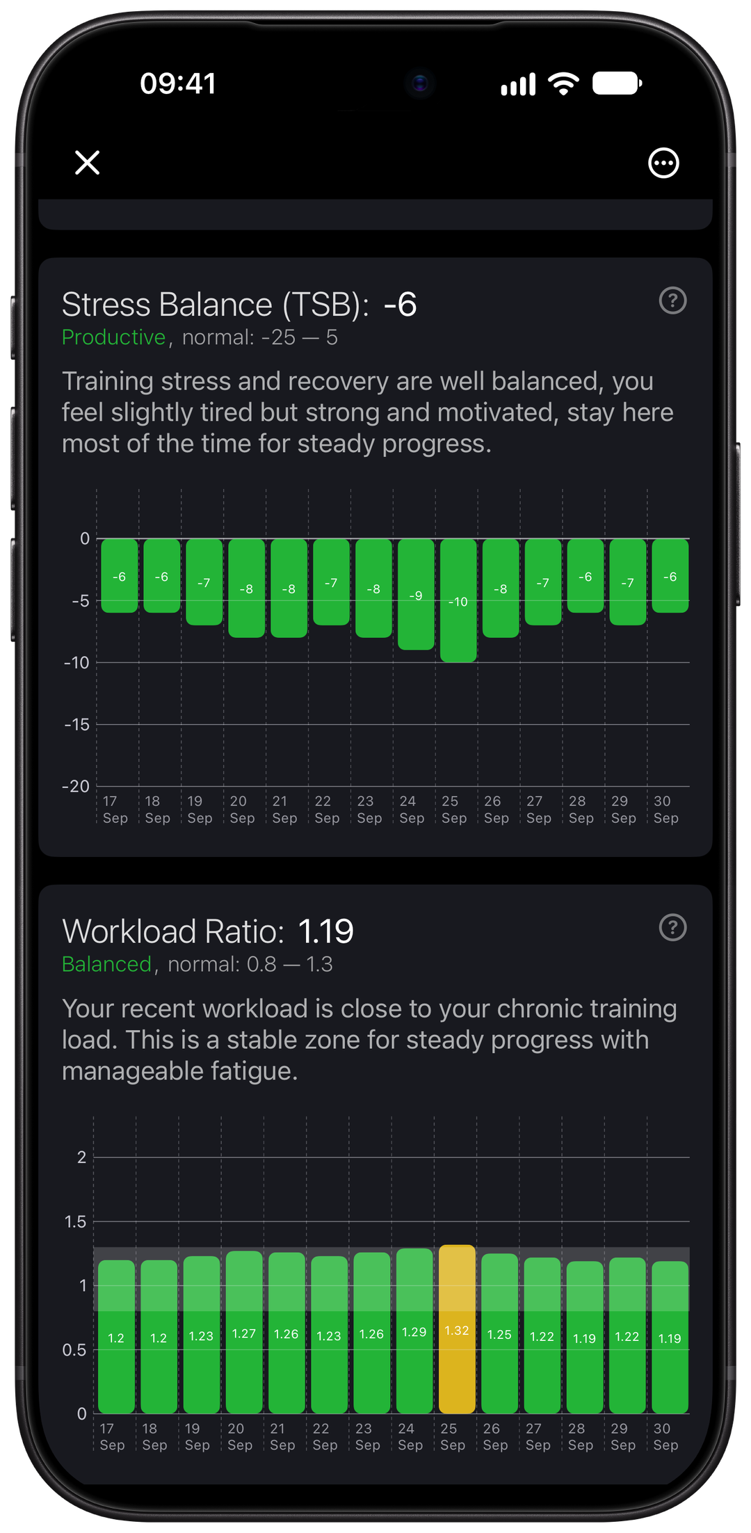Strain detail with Stress Balance (TSB) and Workload Ratio