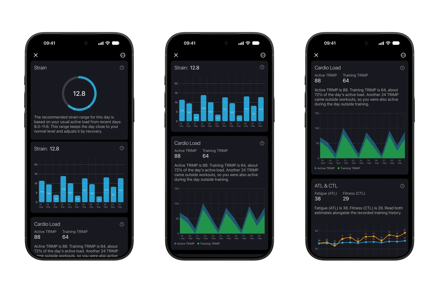 Wellhero daily Strain overview, history and Cardio Load with demonstration data