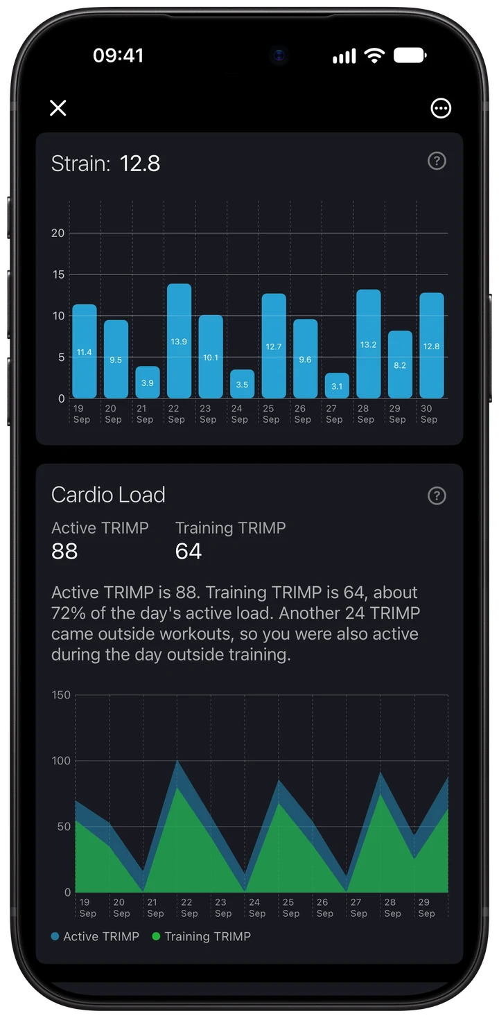 Wellhero daily Strain history showing different load scores across twelve fictional dates